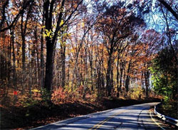 Pennsylvania backroad fall foliage