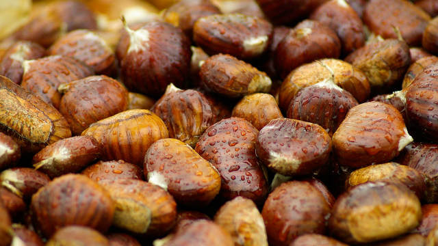 Fall Chestnuts Roasting